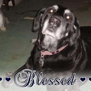 Meet your Posher, Stacy